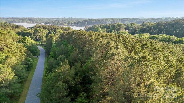 158 Riverwalk Rd, Stony Point, NC 28678 - photo 25
