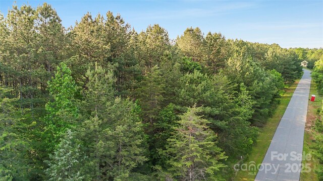 158 Riverwalk Rd, Stony Point, NC 28678 - photo 26