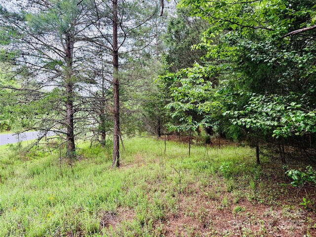 158 Riverwalk Rd, Stony Point, NC 28678 - photo 29
