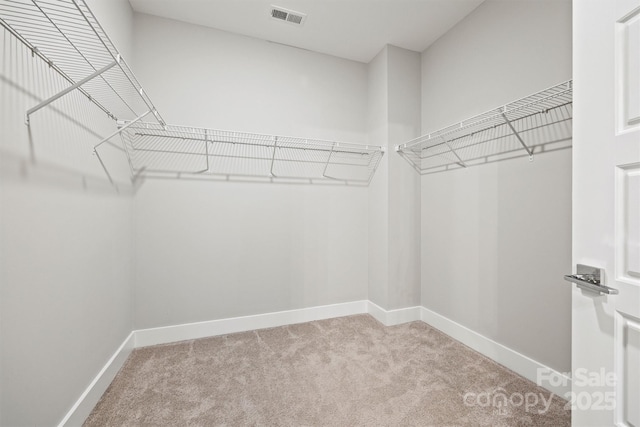 1162 E 36th St, Charlotte, NC 28205 - walk in closet with carpet floors