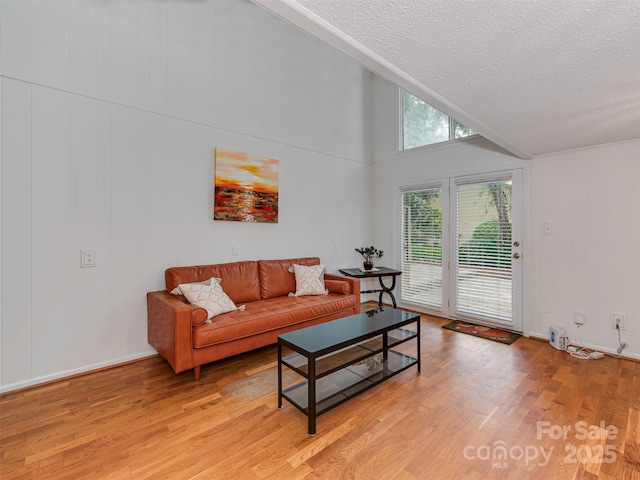 4025 Woodfox Dr, Charlotte, NC 28277 - living area with a textured ceiling, light wood-style flooring, high vaulted ceiling, and baseboards