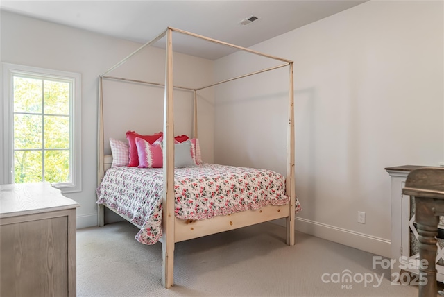 20 E Owl Creek Ln, Fairview, NC 28730 - carpeted bedroom with baseboards