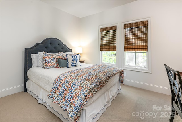 20 E Owl Creek Ln, Fairview, NC 28730 - bedroom with light carpet and baseboards