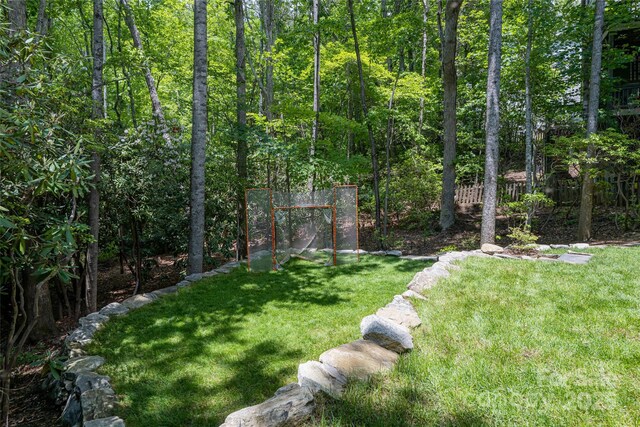 20 E Owl Creek Ln, Fairview, NC 28730 - view of green lawn