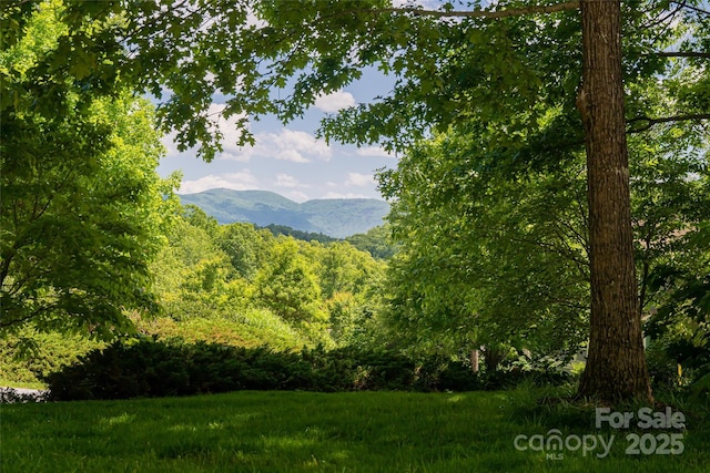 20 E Owl Creek Ln, Fairview, NC 28730 - mountain view with a forest