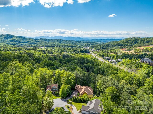 20 Angler Trl, Asheville, NC 28803 - photo 43