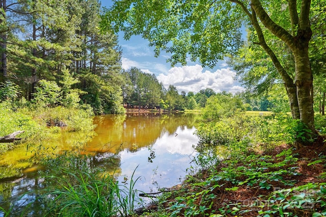 1030 Pinehurst Ln, Fort Mill, SC 29707 - water view with a forest