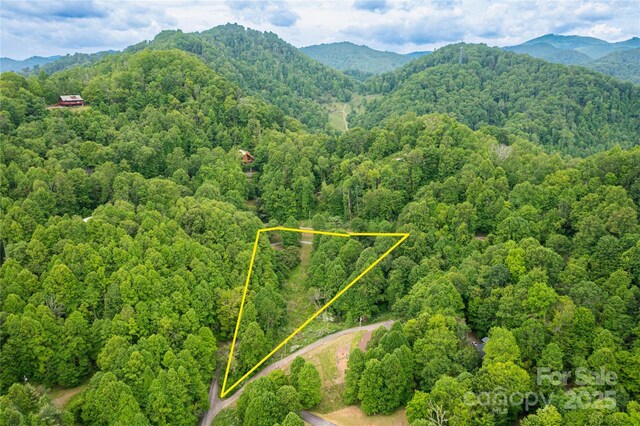 214 Hidden Creek Ln, Burnsville, NC 28714 - view of property location with a forest, property boundaries highlighted, and a mountain backdrop