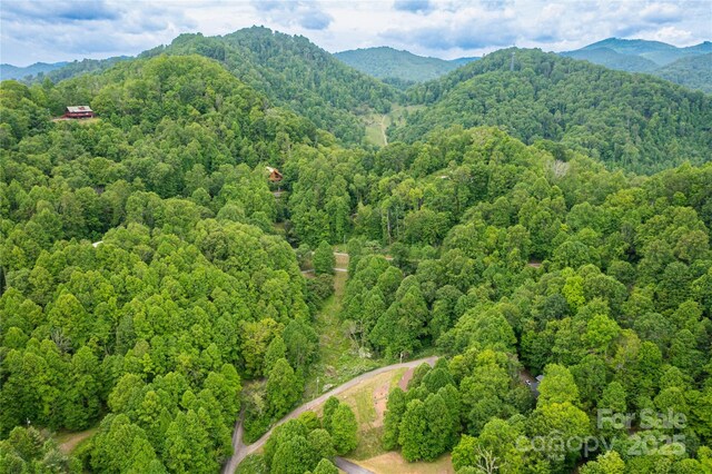 214 Hidden Creek Ln, Burnsville, NC 28714 - mountain view with a forest