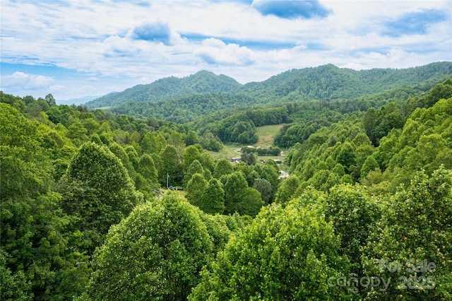 214 Hidden Creek Ln, Burnsville, NC 28714 - view of mountain background featuring a forest