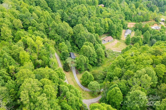 214 Hidden Creek Ln, Burnsville, NC 28714 - aerial view of property's location with a forest