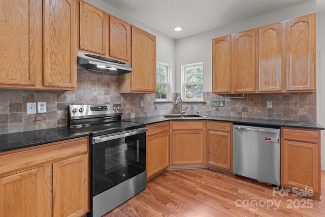 1534 Piney Church Rd, Concord, NC 28025 - kitchen with under cabinet range hood, stainless steel appliances, a sink, light wood-style flooring, and decorative backsplash