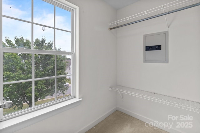 1534 Piney Church Rd, Concord, NC 28025 - spacious closet featuring light colored carpet and electric panel