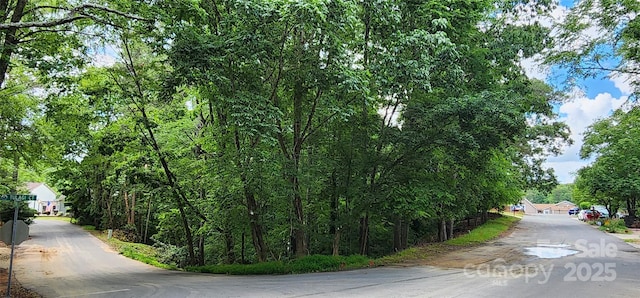 9064 Tulagi Ct, Fort Mill, SC 29708 - photo 4