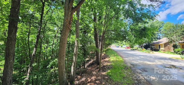 9064 Tulagi Ct, Fort Mill, SC 29708 - photo 14