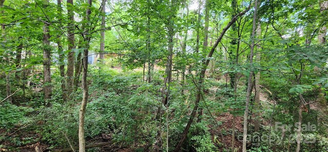 9064 Tulagi Ct, Fort Mill, SC 29708 - photo 18