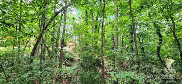 9064 Tulagi Ct, Fort Mill, SC 29708 - photo 21