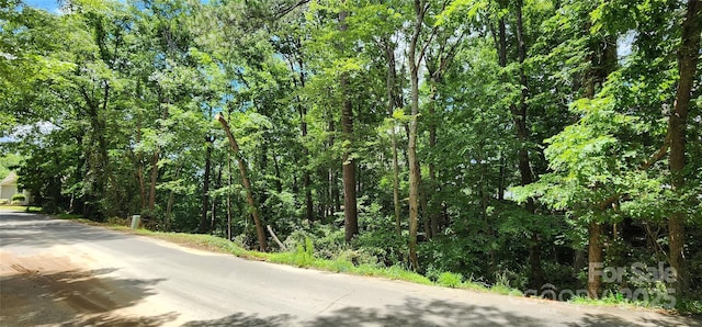 9064 Tulagi Ct, Fort Mill, SC 29708 - photo 22