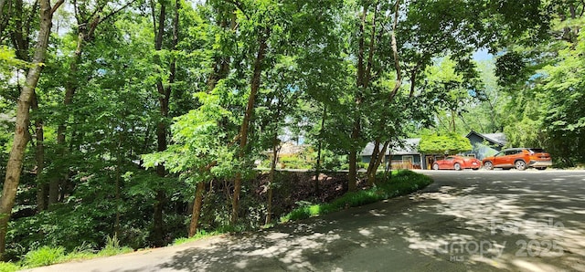 9064 Tulagi Ct, Fort Mill, SC 29708 - photo 23