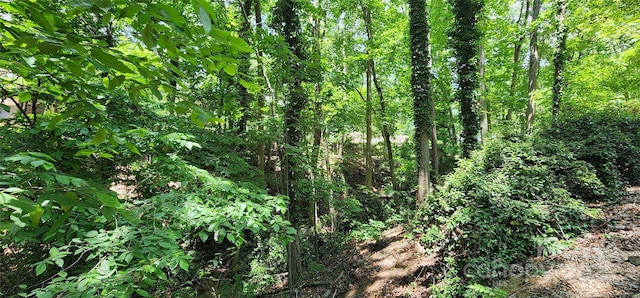 9064 Tulagi Ct, Fort Mill, SC 29708 - photo 26