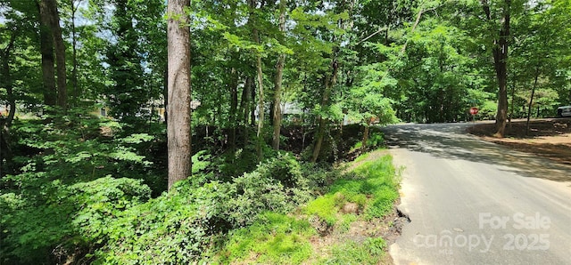 9064 Tulagi Ct, Fort Mill, SC 29708 - photo 30