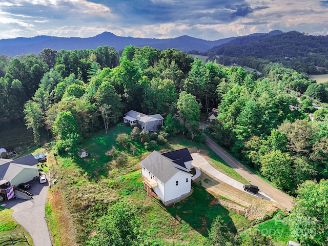 220 Pine Ridge Rd, Mars Hill, NC 28754 - aerial overview of property's location with mountains and a forest