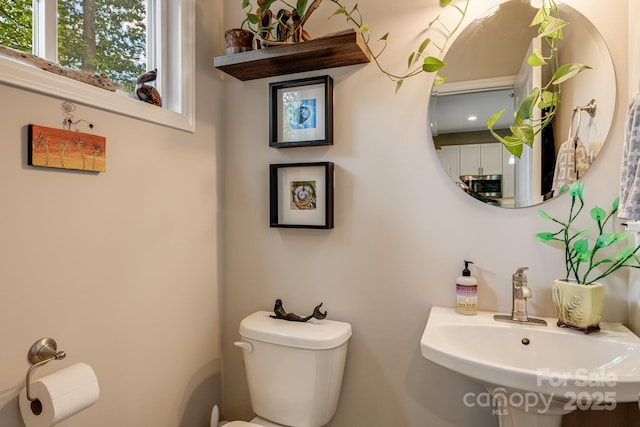 19 Shadowlawn Dr, Asheville, NC 28806 - photo 12