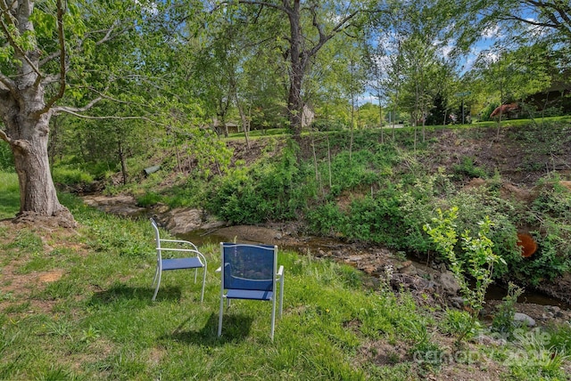 4-B Hedgerose Ct, Asheville, NC 28805 - photo 22