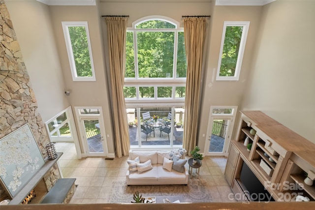 14515 Nolen Ln, Charlotte, NC 28277 - tiled living area featuring a towering ceiling, crown molding, and healthy amount of natural light