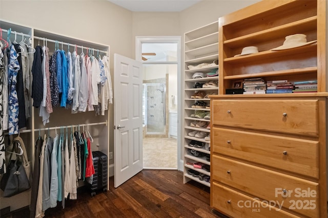 14515 Nolen Ln, Charlotte, NC 28277 - spacious closet with dark wood-style flooring