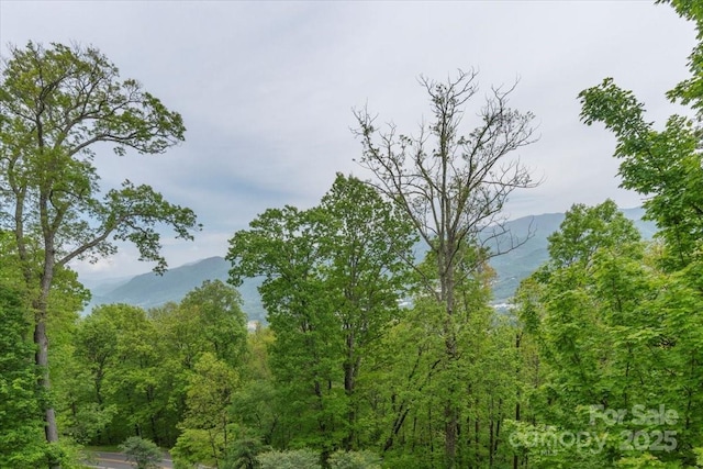 2461 Eagles Nest Rd, Waynesville, NC 28786 - mountain view with a forest
