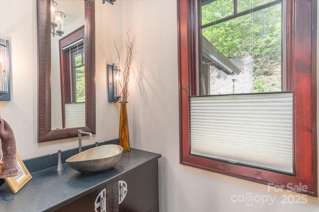 2461 Eagles Nest Rd, Waynesville, NC 28786 - bathroom featuring vanity