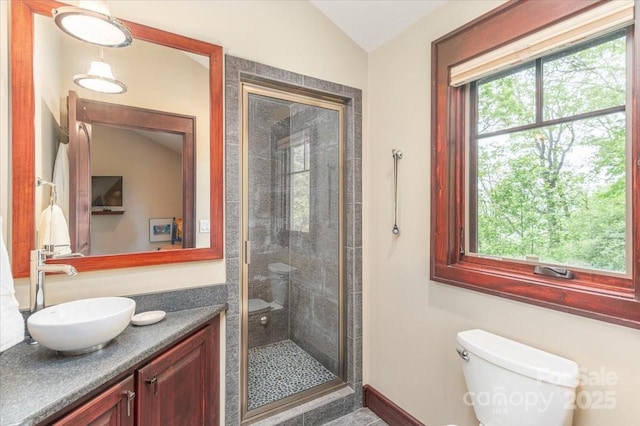 2461 Eagles Nest Rd, Waynesville, NC 28786 - bathroom with vaulted ceiling, vanity, toilet, and a shower stall