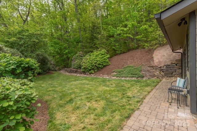 2461 Eagles Nest Rd, Waynesville, NC 28786 - view of green lawn