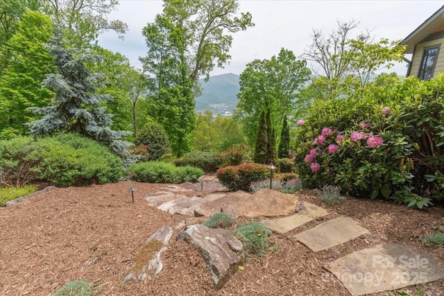 2461 Eagles Nest Rd, Waynesville, NC 28786 - view of yard featuring a mountain view