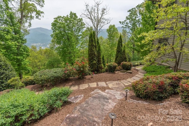 2461 Eagles Nest Rd, Waynesville, NC 28786 - view of yard featuring a mountain view