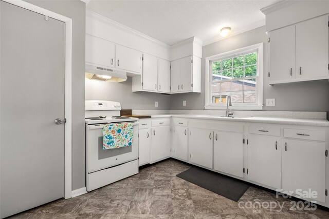 3900 Langley Rd, Charlotte, NC 28215 - kitchen featuring white range with electric stovetop, under cabinet range hood, crown molding, a sink, and white cabinets