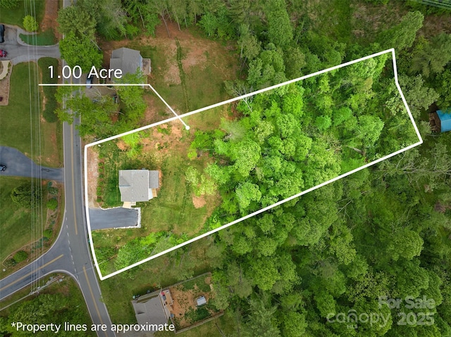 43 Clarks Chapel Ext, Weaverville, NC 28787 - aerial view of property's location with property boundaries highlighted