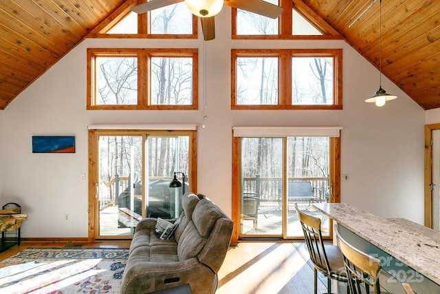 491 Mckenzie Way S, Old Fort, NC 28762 - living room with high vaulted ceiling, wood ceiling, healthy amount of natural light, wood finished floors, and baseboards