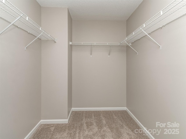 4208 Everest Dr, Gastonia, NC 28054 - walk in closet featuring carpet