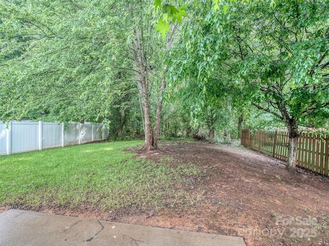4208 Everest Dr, Gastonia, NC 28054 - view of yard