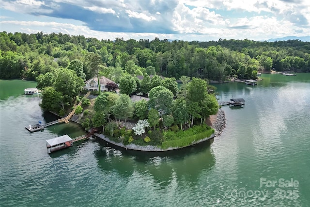 2218 Mallard Cove Dr, Nebo, NC 28761 - drone / aerial view of a large body of water and a forest