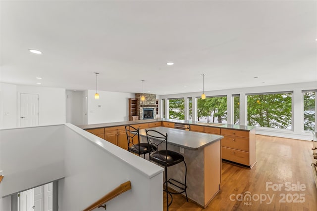 2218 Mallard Cove Dr, Nebo, NC 28761 - kitchen with healthy amount of natural light, dishwasher, light wood-style floors, a fireplace, and recessed lighting