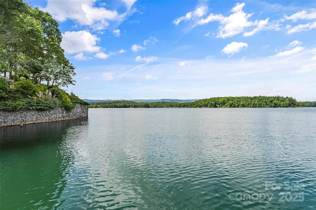 2218 Mallard Cove Dr, Nebo, NC 28761 - water view