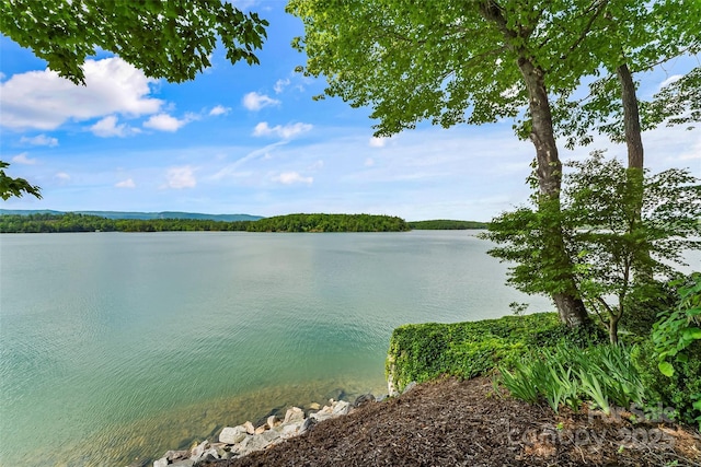 2218 Mallard Cove Dr, Nebo, NC 28761 - water view
