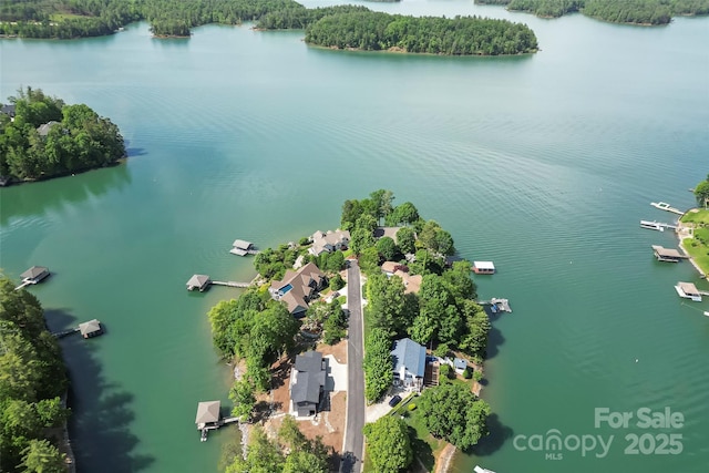 2218 Mallard Cove Dr, Nebo, NC 28761 - aerial view of property and surrounding area featuring a large body of water and a heavily wooded area