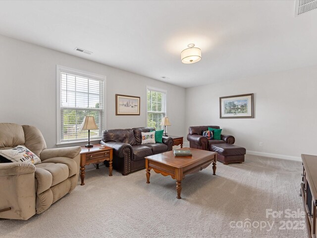 603 Southstone Dr, Matthews, NC 28104 - living room featuring carpet flooring and baseboards