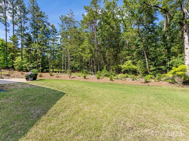 603 Southstone Dr, Matthews, NC 28104 - view of green lawn
