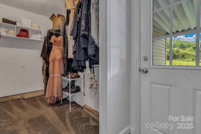 11 Chaz Ln, Candler, NC 28715 - walk in closet featuring carpet flooring
