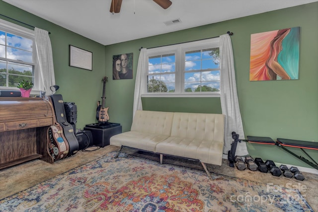 11 Chaz Ln, Candler, NC 28715 - living area with ceiling fan
